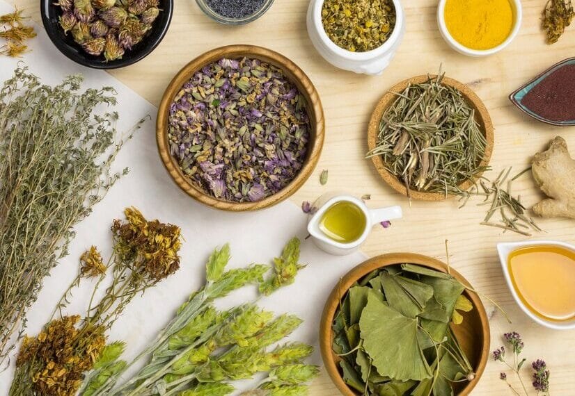 Plantas medicinales para la ansiedad ✨🌿